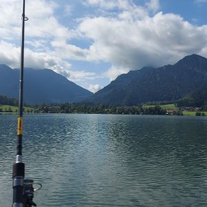 Profilbild