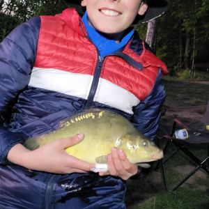 Profilbild