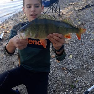 Profilbild