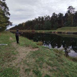 Profilbild