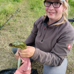 Profilbild