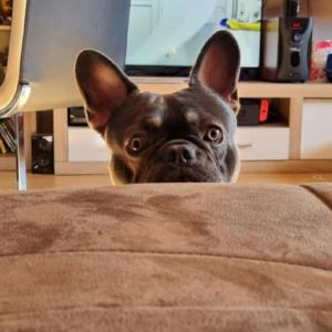 Profilbild
