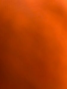 PUK DIE STUBENFLIEGE