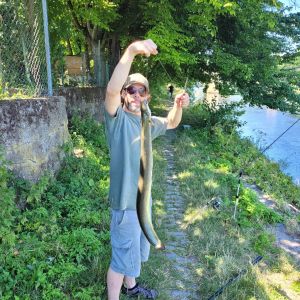 Profilbild