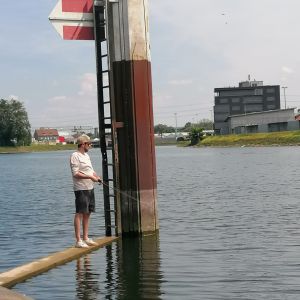 Profilbild
