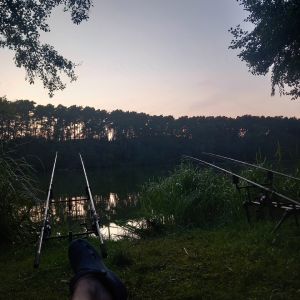 Profilbild