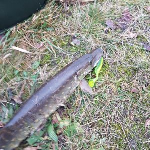 Profilbild