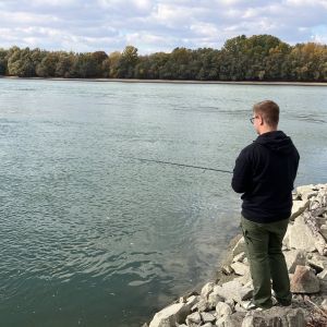 Profilbild