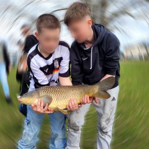 Profilbild