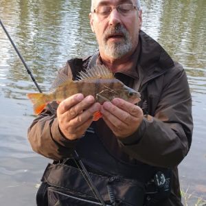 Seeangler 59