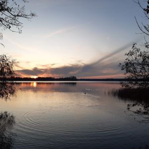 Julisn