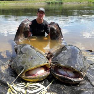 Bait-Fascination & Cat Fishing