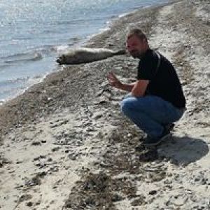 Profilbild