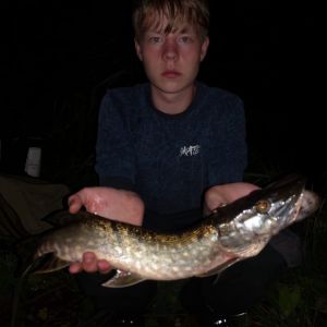 Profilbild
