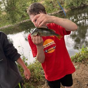 Profilbild