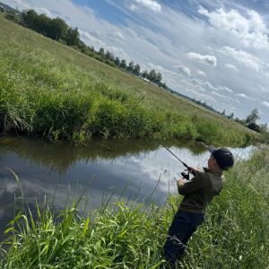 Profilbild