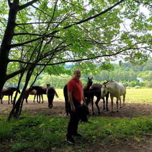 Profilbild