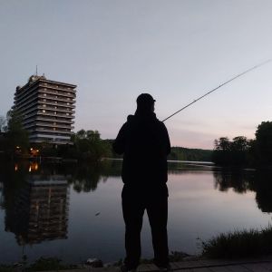 Profilbild