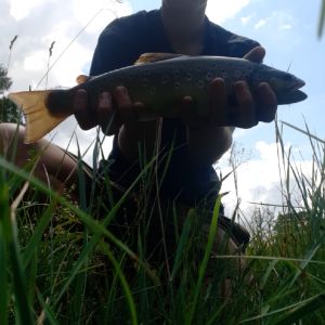 Profilbild