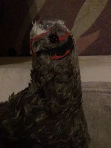 Profilbild