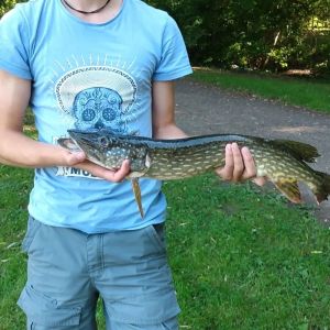Profilbild