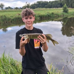 Profilbild