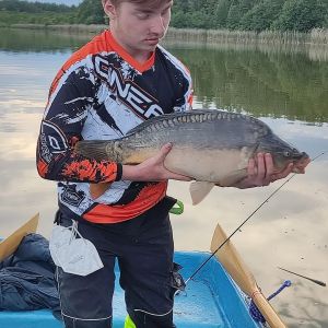 Profilbild