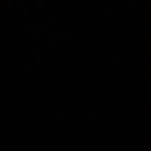 Die Angelverrückten