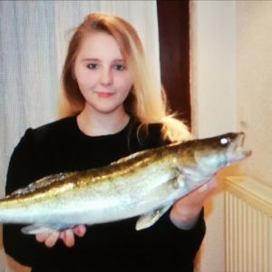 Profilbild