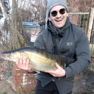 Profilbild