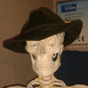 Profilbild