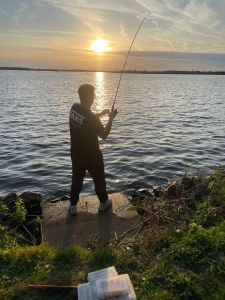Profilbild