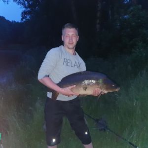Profilbild
