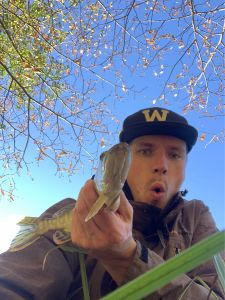 Profilbild