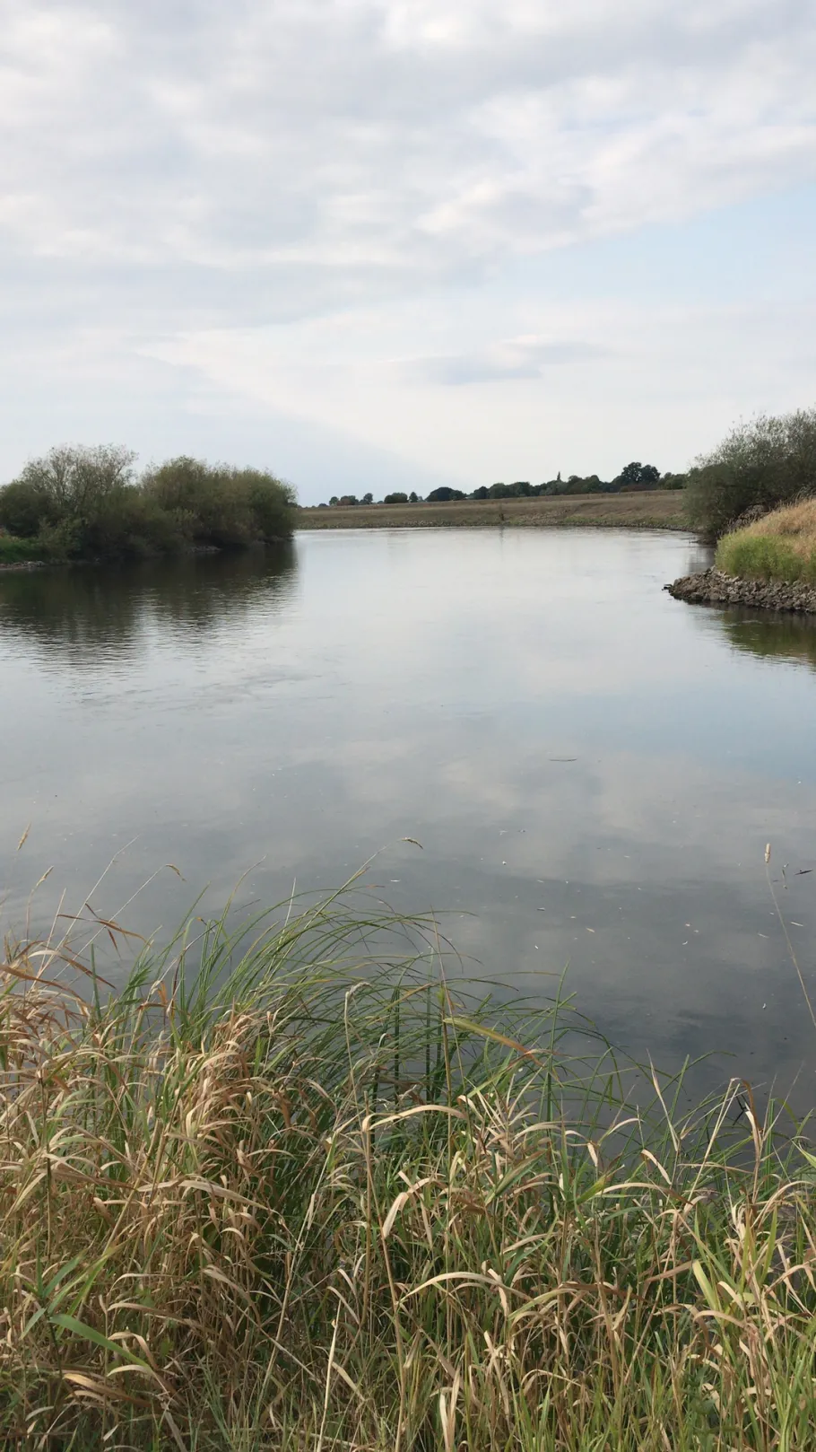 Aller (Rethem) angeln