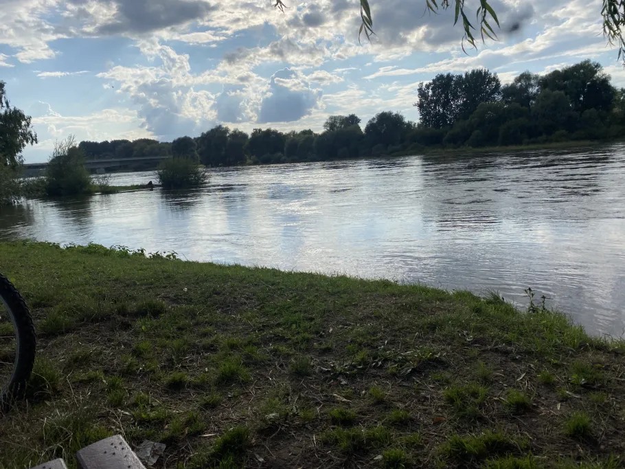 Donau (Neustadt an der Donau) angeln