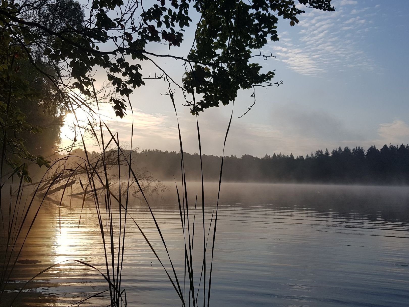 Buckowsee (Sophienstädt) angeln