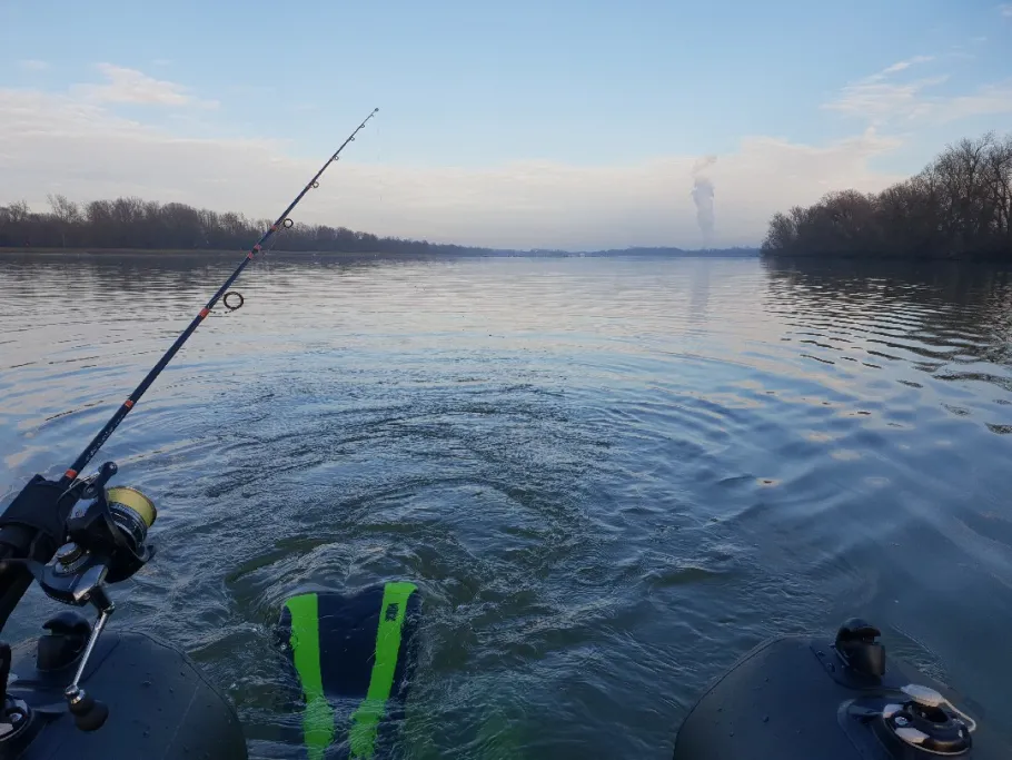Isar (Landshut) angeln