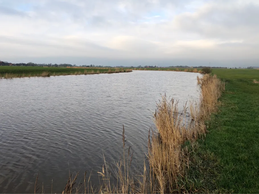 Neuharlinger Sieltief angeln