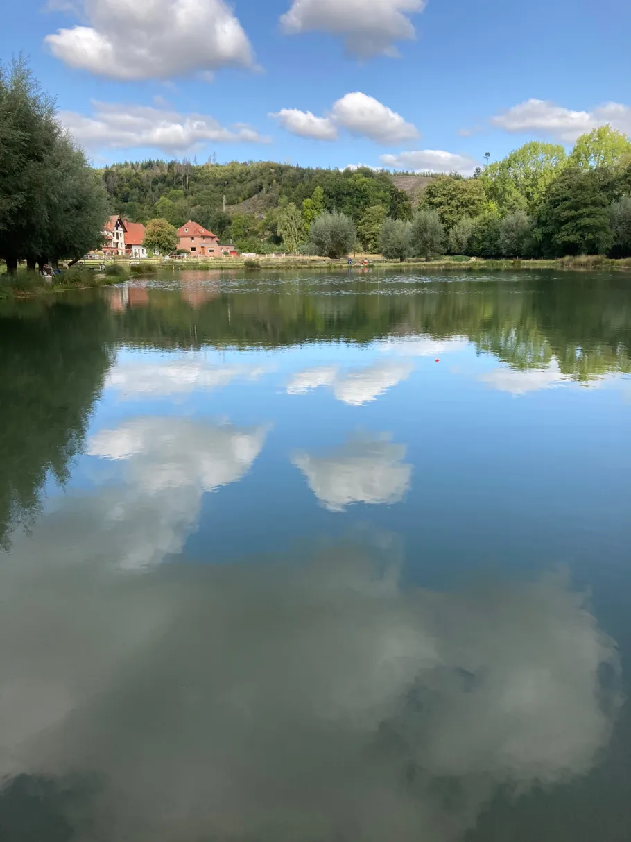 Fischzucht Obermühle Beine angeln