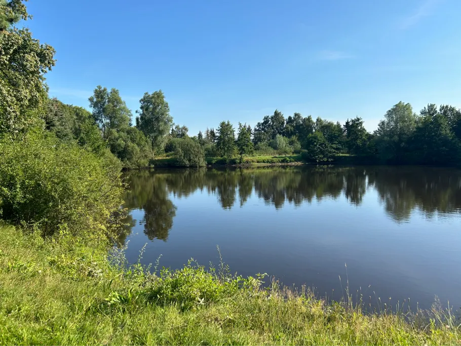 Teich Bevern (Bredenmoor) angeln