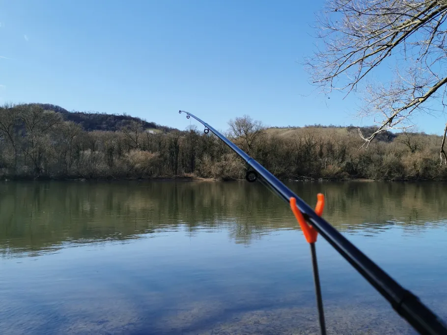 Rhein (Lorch) angeln