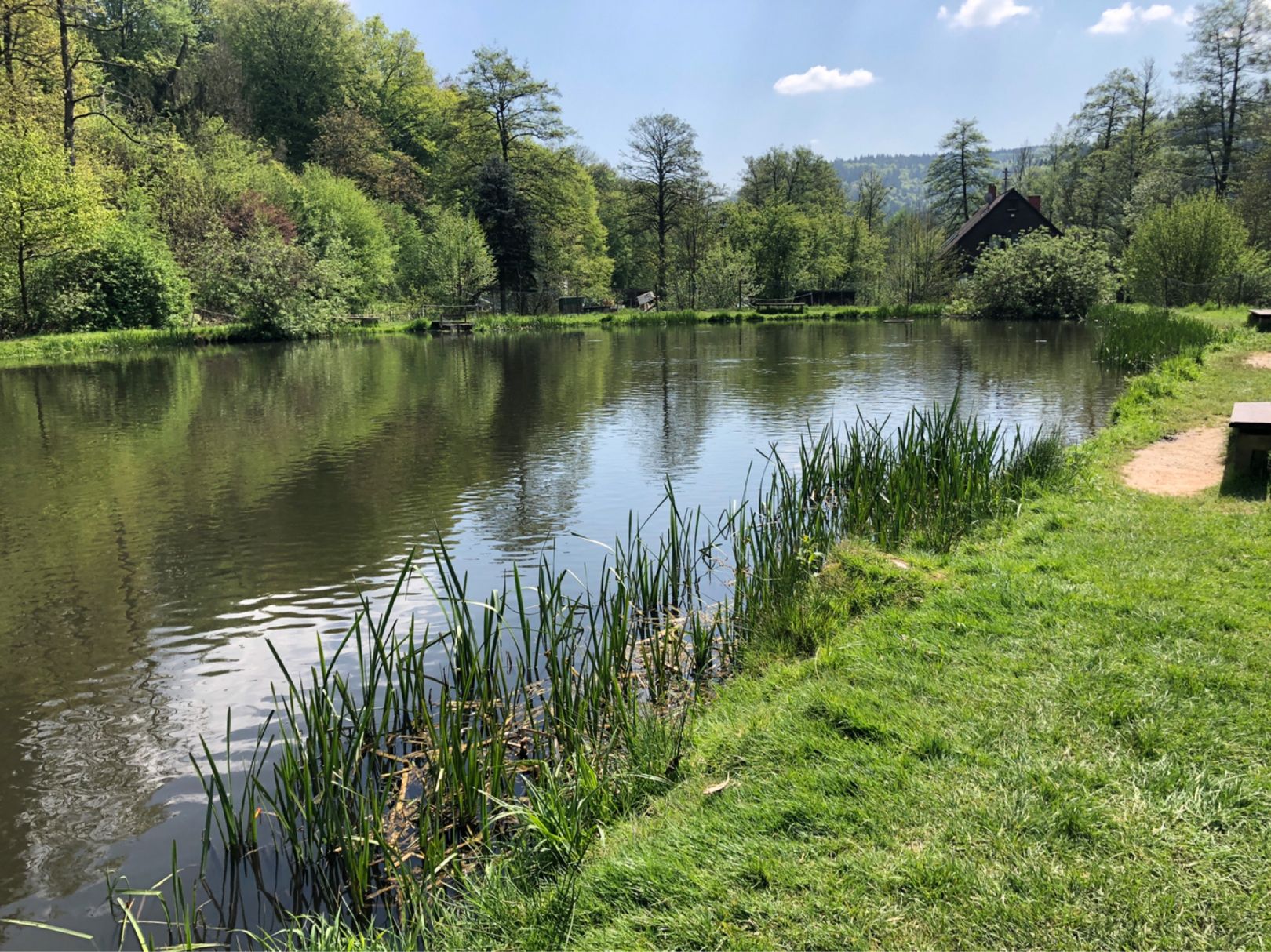 Angeln in Neckarsteinach