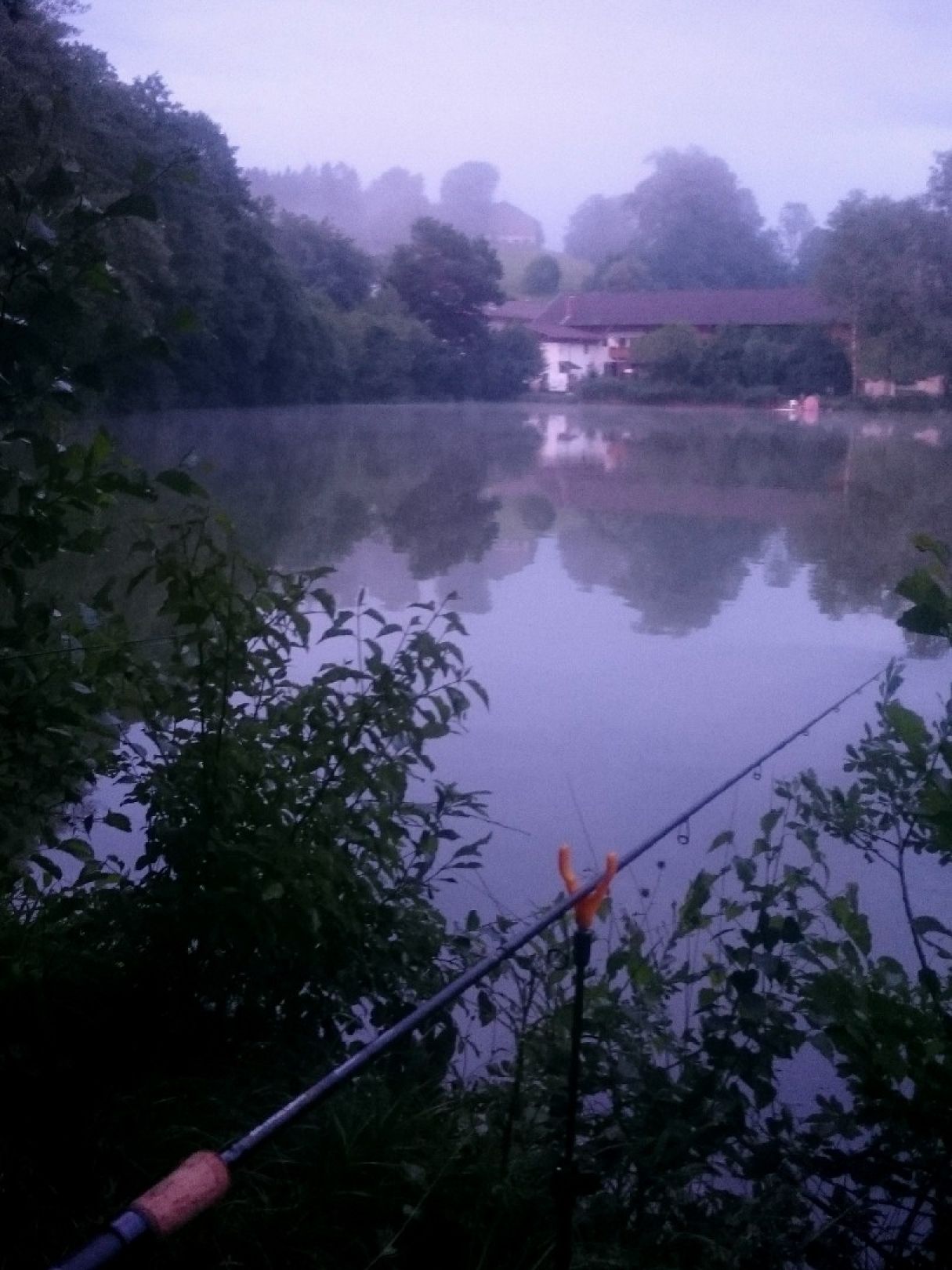 Lauser Weiher (Unterlaus) angeln