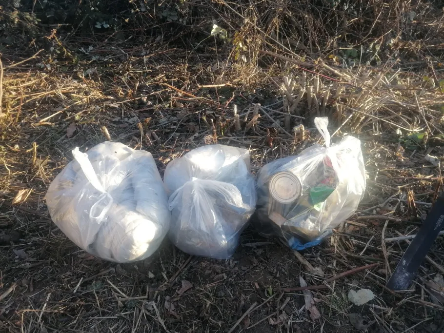 Neckar (Besigheim) angeln