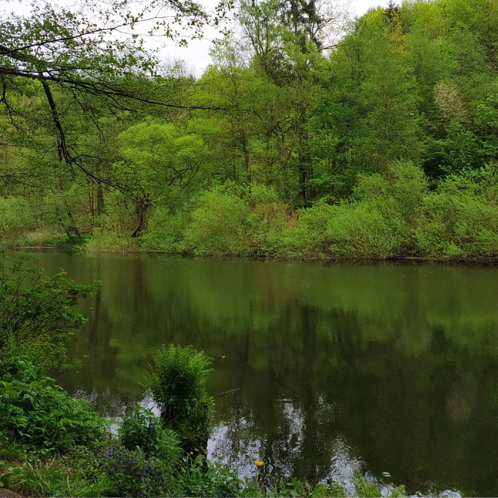 Flöha (Grünhainichen-Borstendorf) angeln