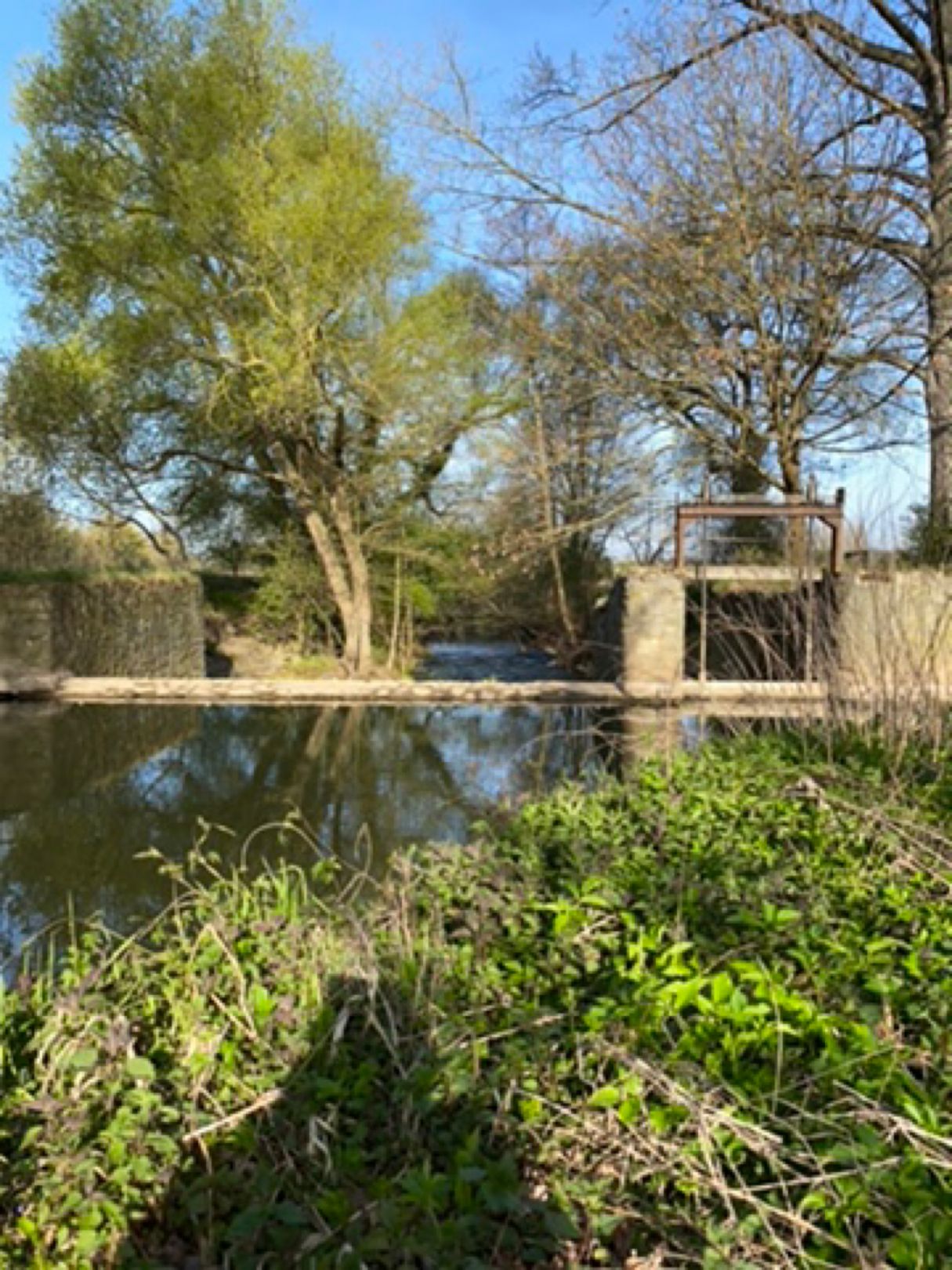 Gersprenz (Dieburg) angeln