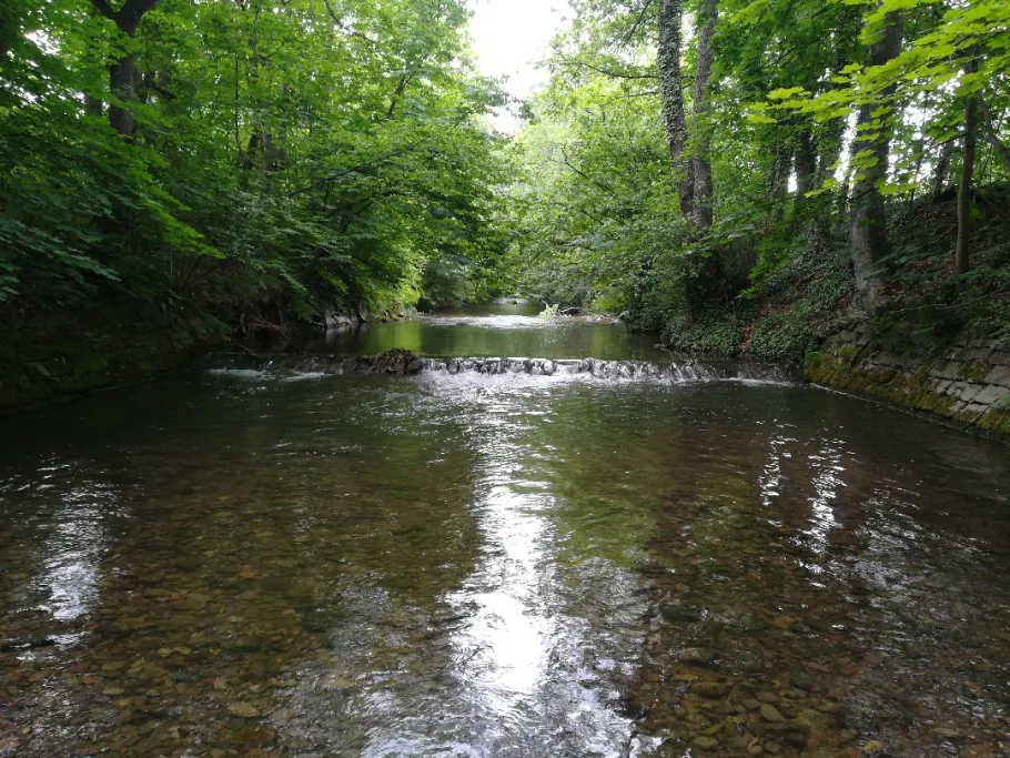 Gera (Arnstadt) angeln