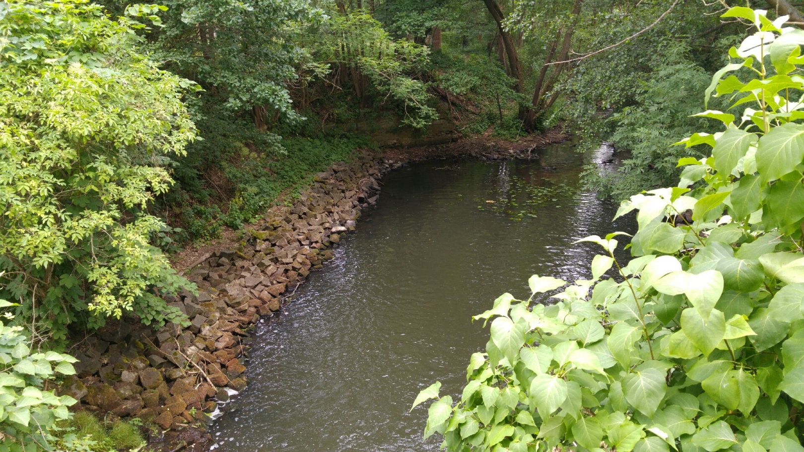 Dahme (Rietzneuendorf-Staakow) angeln