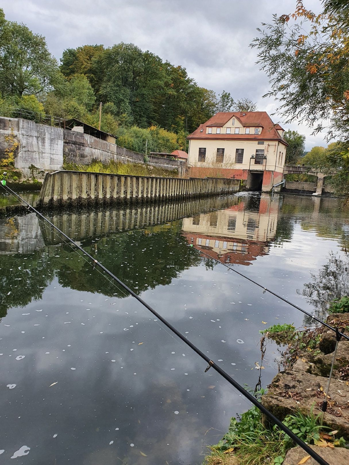 Neckar (Oferdingen) angeln